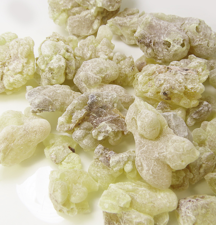 オマーン乳香/フランキンセンス・オマーン500gの卸売り通信販売店