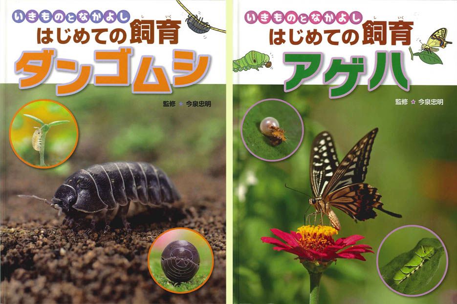 新刊NEWS『いきものとなかよし はじめての飼育』: ネイチャー＆サイエンス