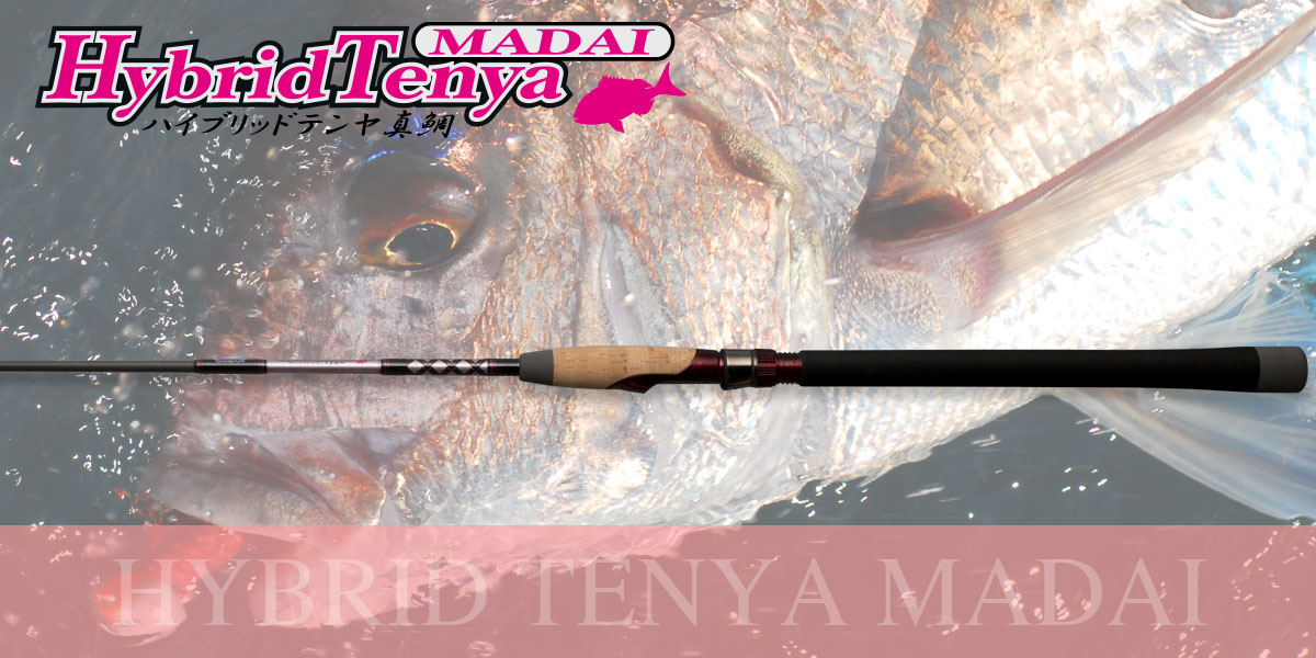 HYBRID TENYA MADAI | SALT | NORIES