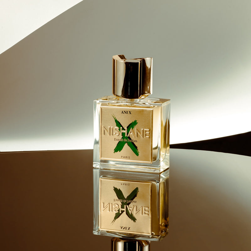 アニ X｜アニ遺跡 テン – NOSE SHOP