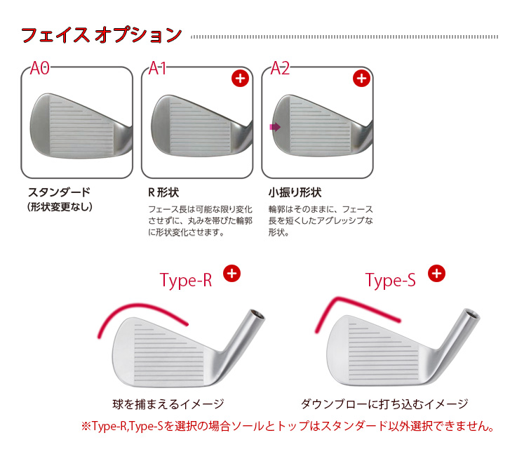 三浦技研 TC101 アイアン [mgtc101] - ￥27,500 : カスタムオーダー