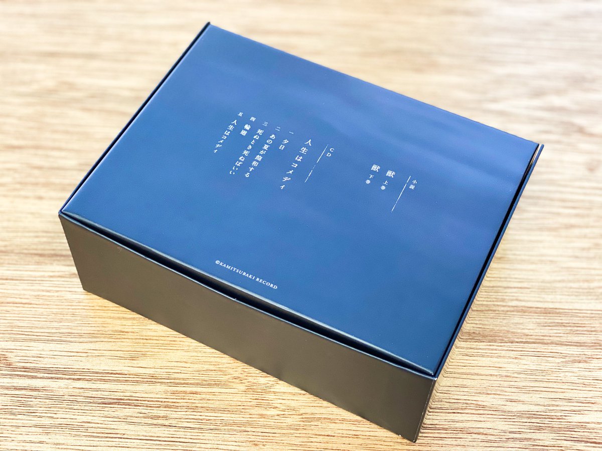 カンザキイオリ】 2020年2月19日に、カンザキイオリ初となる長編小説