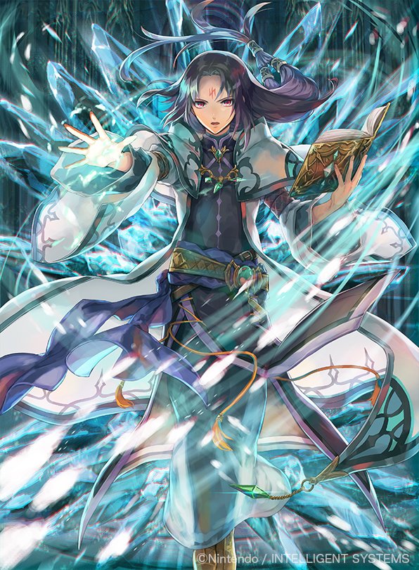 任天堂様、インテリジェントシステムズ様の【ファイアーエムブレム0