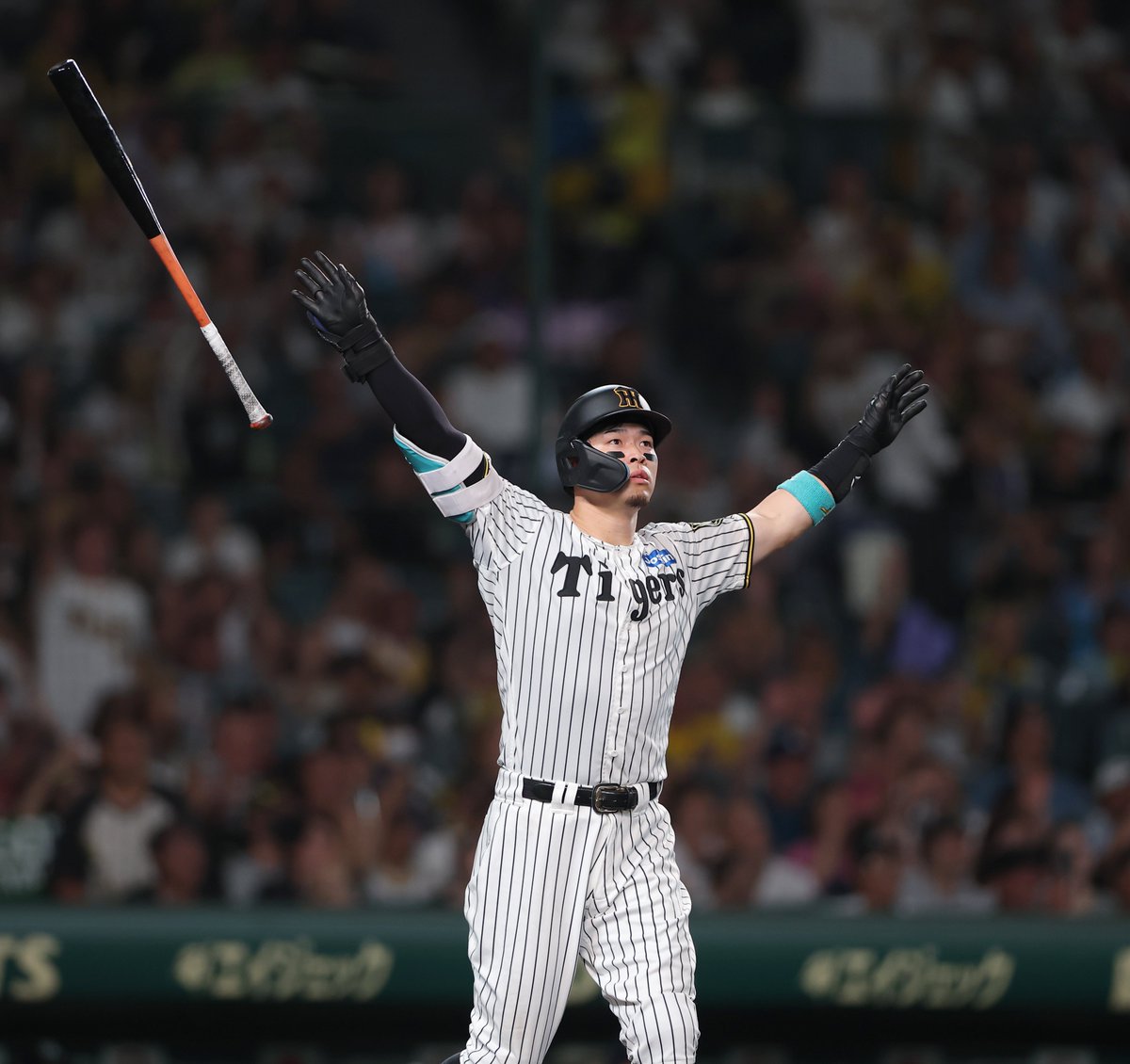 佐藤輝明 選手、40本塁打達成です！（撮影：水島啓輔） #阪神