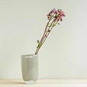 Joe W11×D6.5×H16 フラワーベース（グラヴィエ） ｜Henry Dean – PIANO