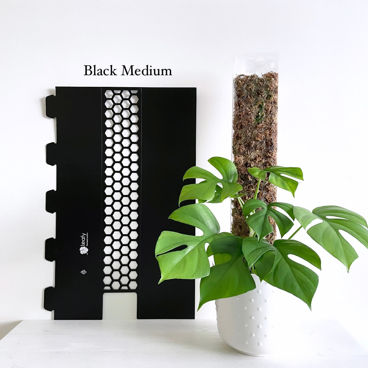 Leafy モスポール 2.0 ブラック – Plants On White