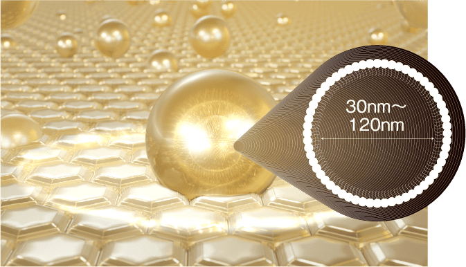 モリーズプロ エクソソームクリーム | 高機能エイジングケア