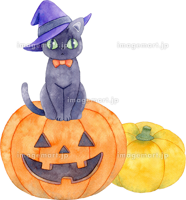 ハロウィン】ジャックオランタンの上に座る魔女の帽子をかぶった黒猫と