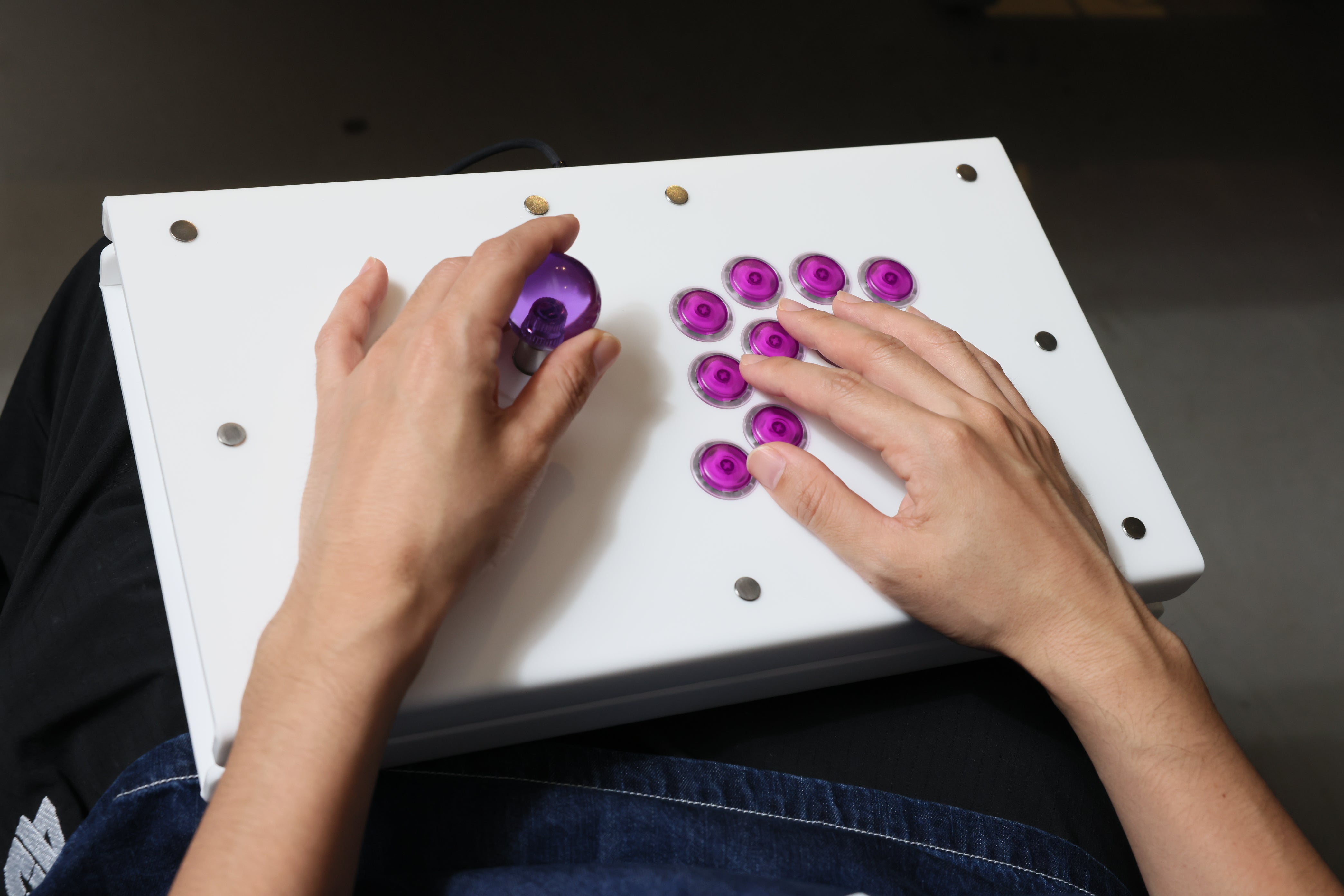 PWS FS ver. PGR – PUNK WORKSHOP JAPAN