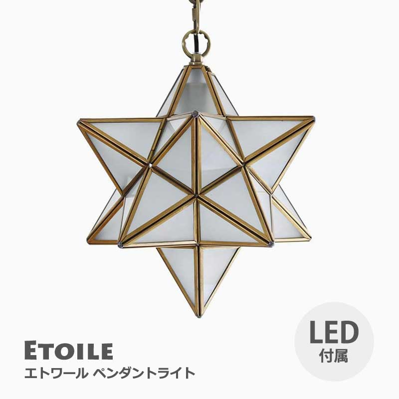 LED エトワール ペンダントランプ フロスト LED Etoile | インテリア