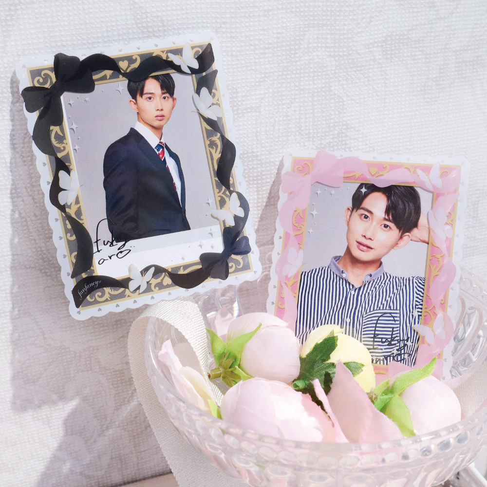 apicolle 硬質カードケース パピヨン