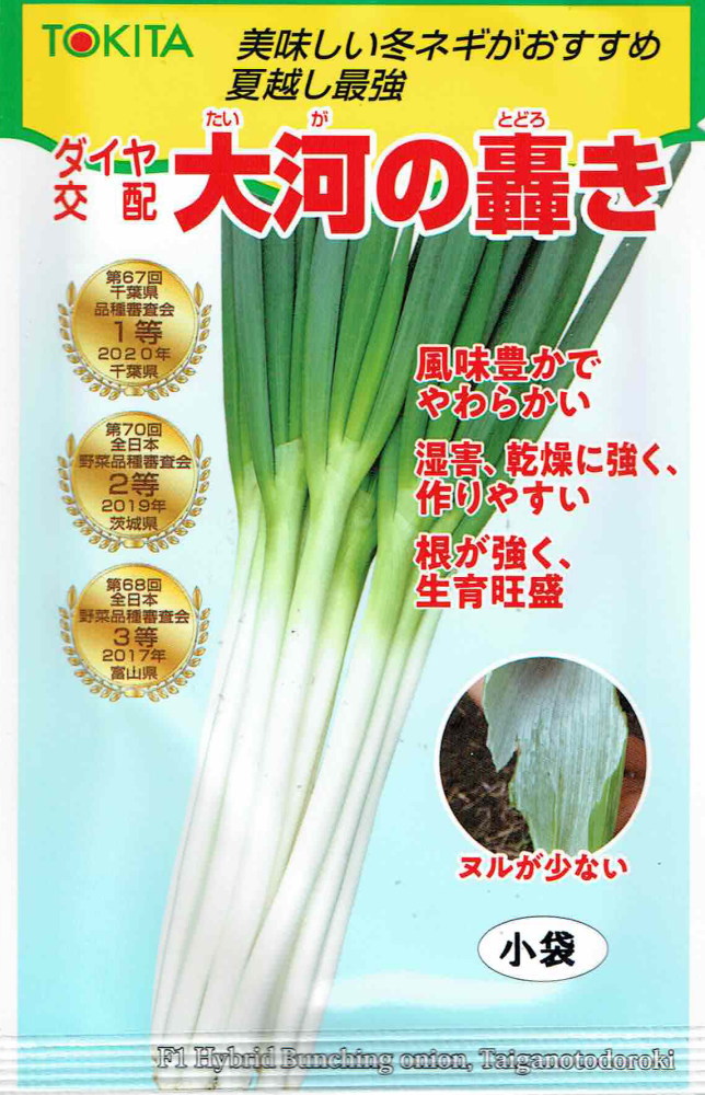 楽天市場】ネギ 種 大河の轟き トキタ 種 苗 営利用 プロ向け 大袋 畑
