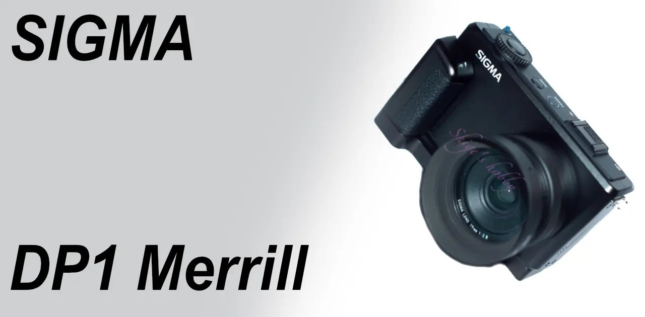 スナップシューターへの道半ば DP1 Merrill – Shige's hobby