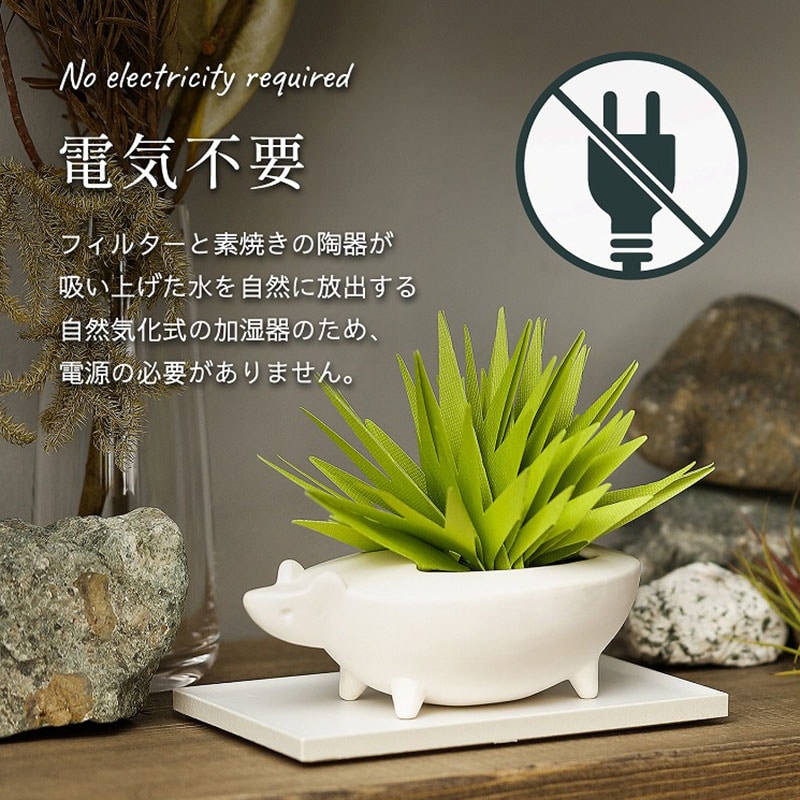 ミクニライフ＆オート エコ加湿器 ミスティデュオ アニマルズ りく