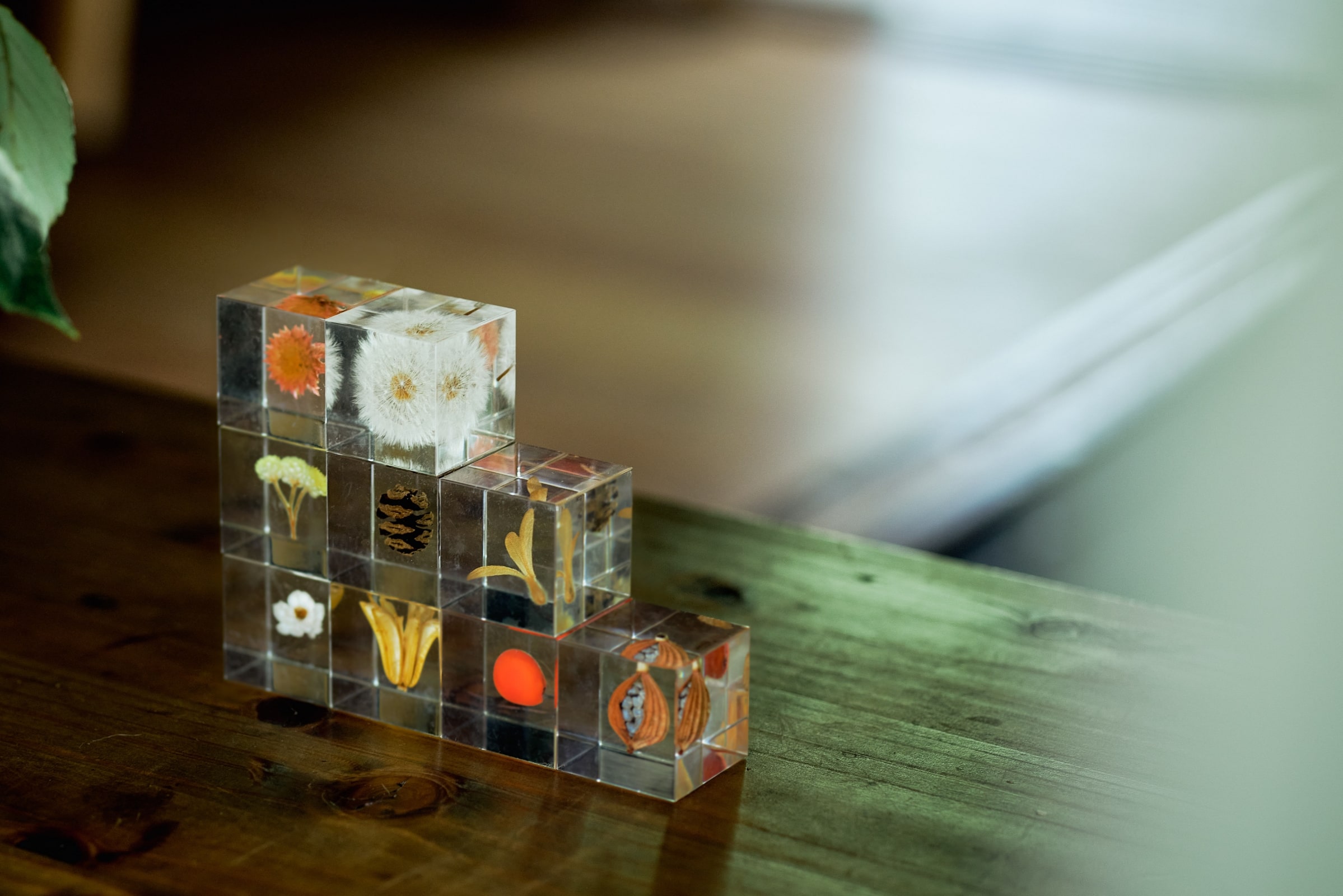 Sola cube / ソラキューブ