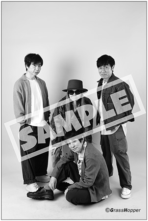 スピッツ Spitzbergen 会報 vol74〜 スピッツ | 音楽資料専門店 ロック