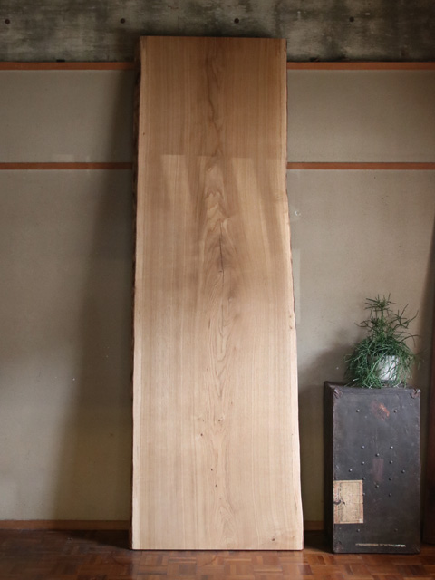 ≪完成品≫無垢一枚板 オーク W2525×D800×t50mm SWB201706024 | SQUARE