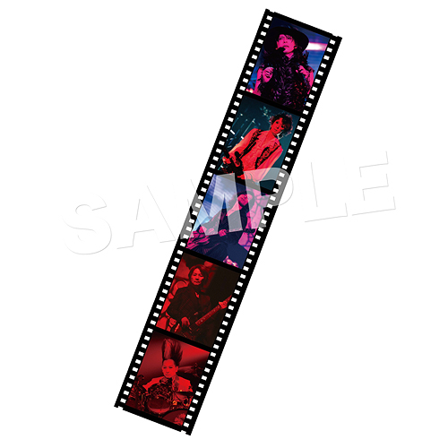 CDJapan : TOUR THE BEST 35th anniv. FINALO in Budokan [Regular