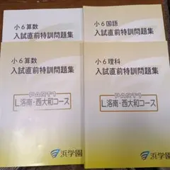 2026年最新】浜学園 小6 志望校別特訓問題集の人気アイテム - メルカリ