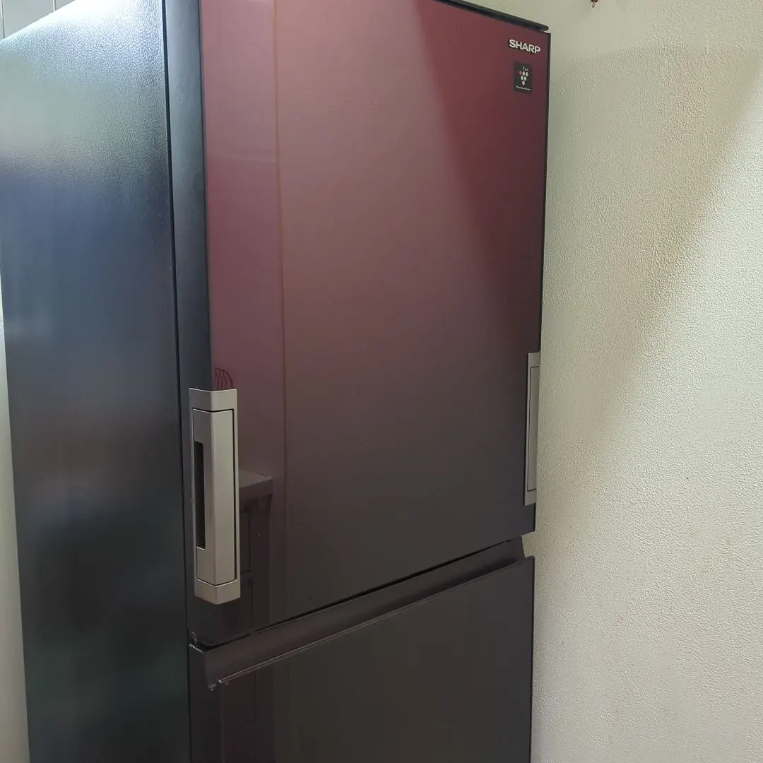 2026年最新】sj-gw35の人気アイテム - メルカリ