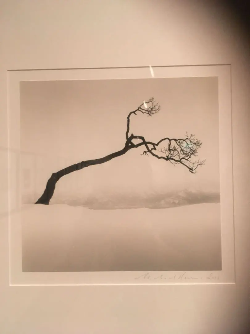 2026年最新】小菅幸子オーナメントの人気アイテム - メルカリ