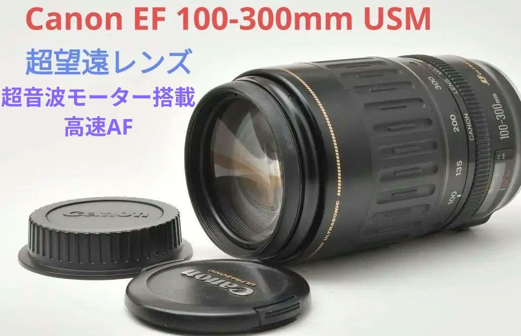 4月15日限定【超望遠レンズ】Canon EF 75-300mm Ⅱ USM Amazon.co.jp: キャノンEF 75-300mm f/4-5.6 III 望遠ズームレンズ