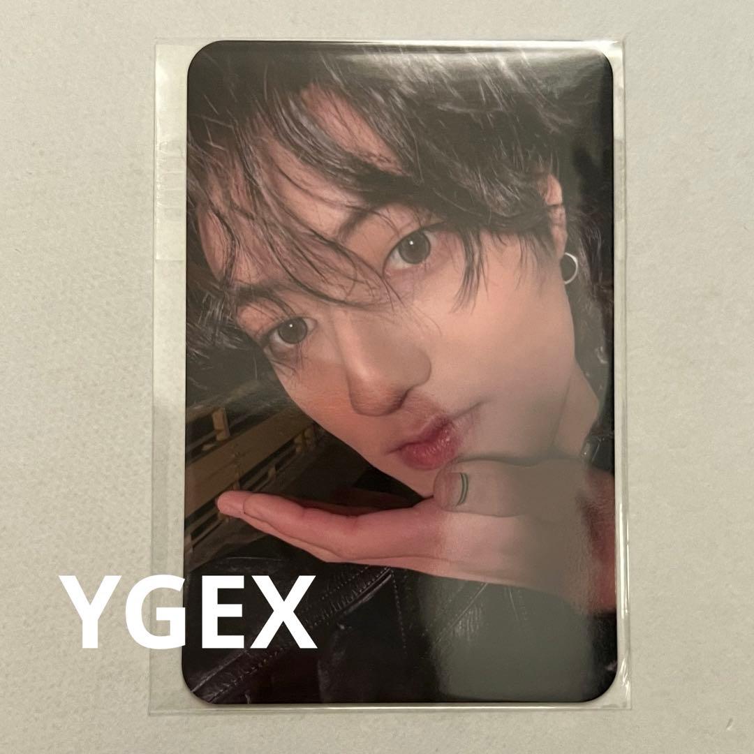 TREASURE ハルト トレカ LOVEPULSE ラブパルス 特典 YGEX - メルカリ