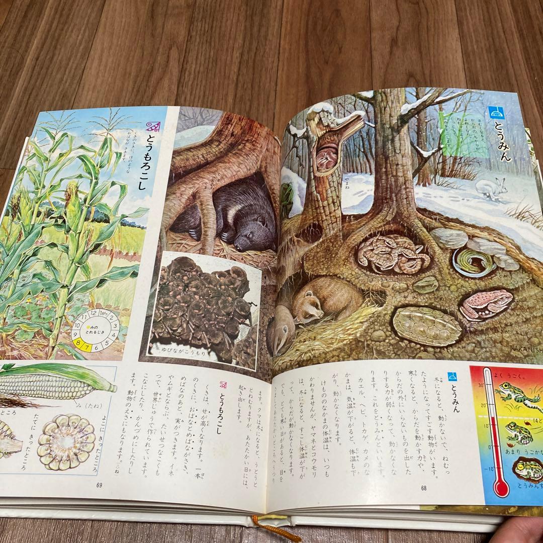 学習こども百科10冊セットまとめ売り - メルカリ