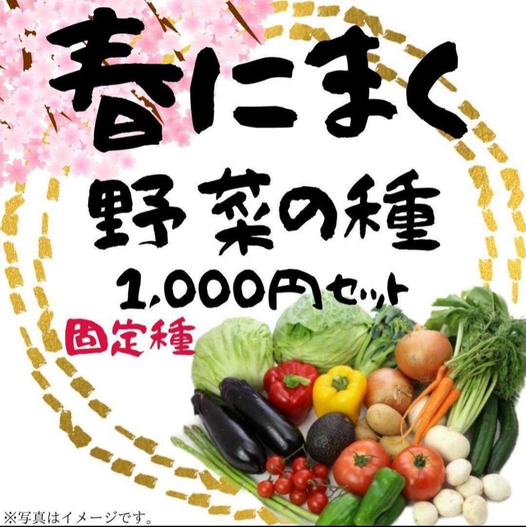 春にまく野菜の種　1,000円セット【2025年　春】 園芸ネット本店｜【会員プレゼント】商品カタログ：丸種 良種2025春